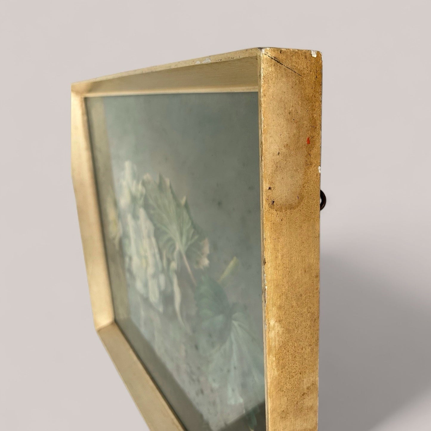 Mid-Century Floral Print by Vestey Rich – Final Colour Plate Proof In Teak Frame