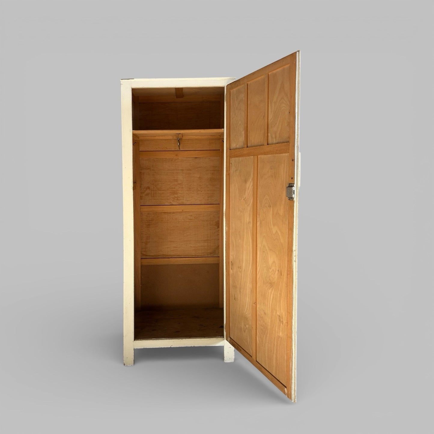 Vintage Painted Hall Cupboard – Slim Storage Cabinet